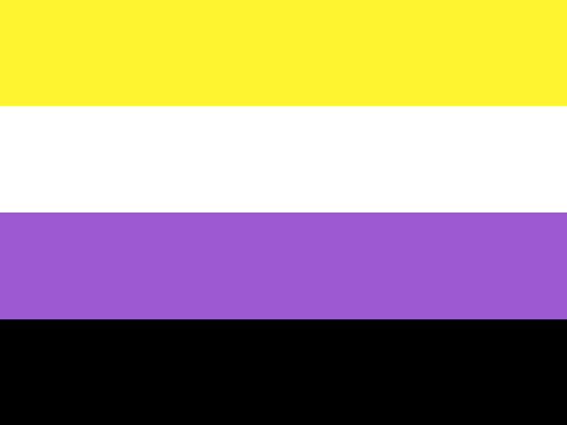 non binary pride flag
